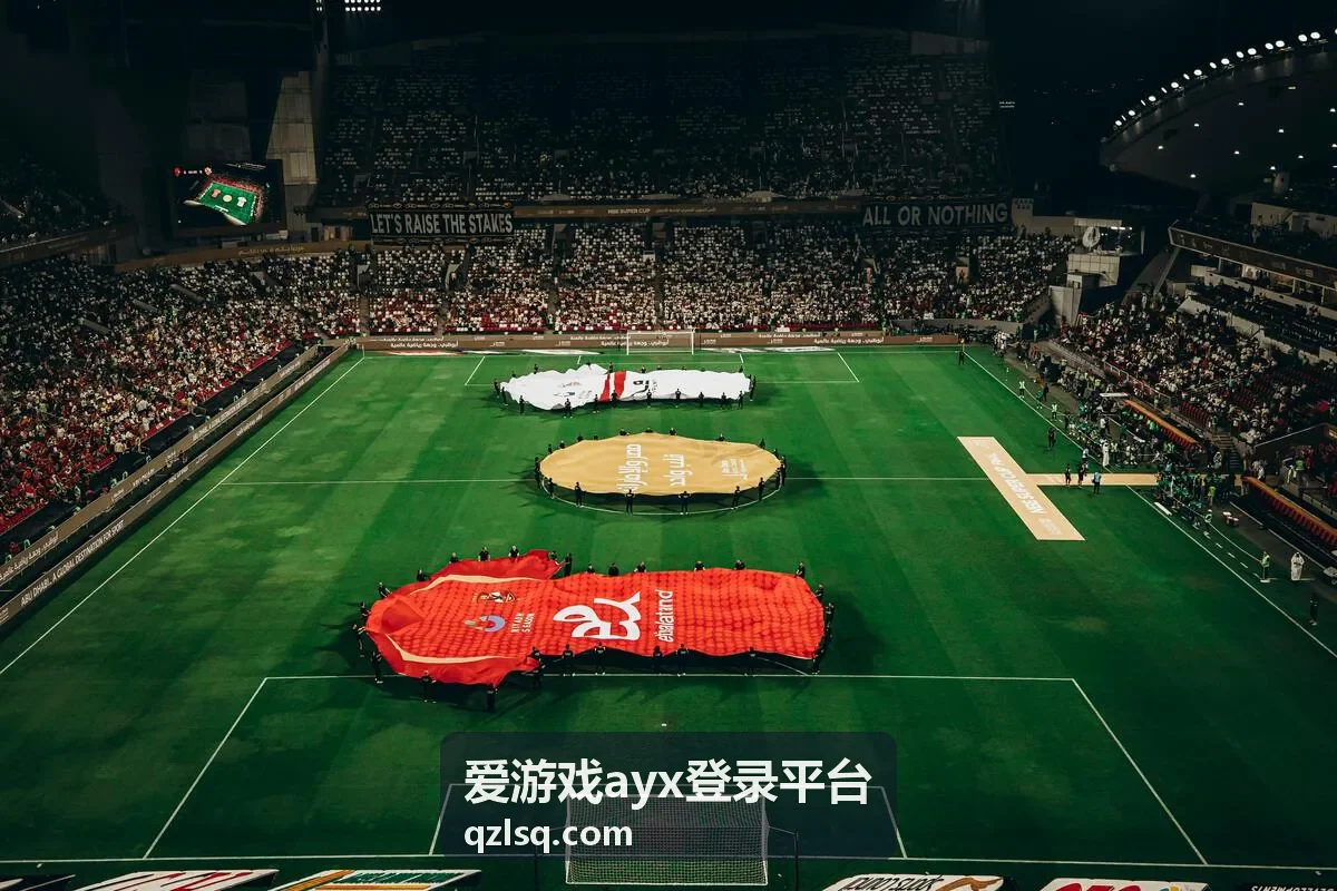 爱游戏ayx登录平台登录页面示意